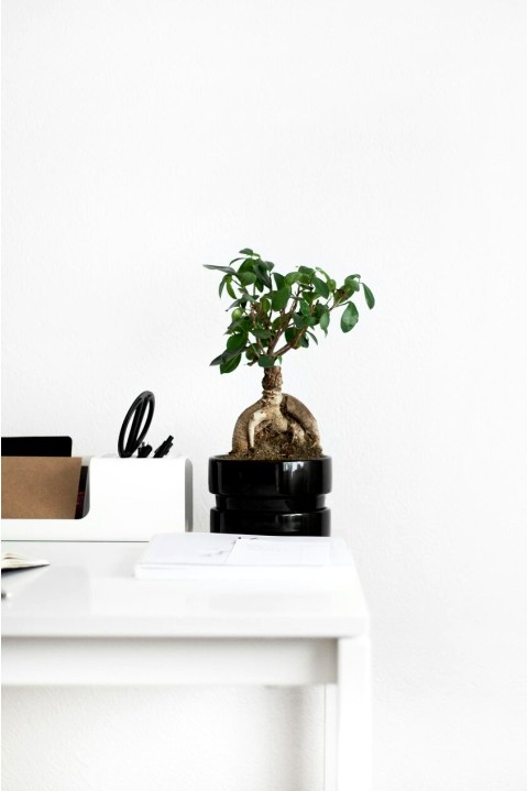 Sustainable living room with natural textures