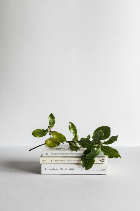 Sustainable decor